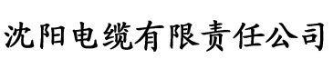 卡哇伊平台视频电缆厂logo